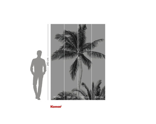 Fototapet med palmmotiv och höjdangivelse
