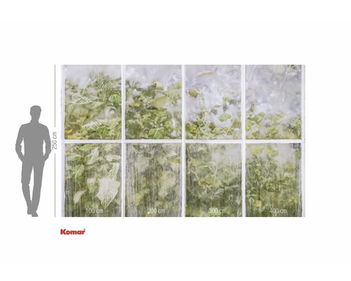 Fototapet med fönstermotiv och växter