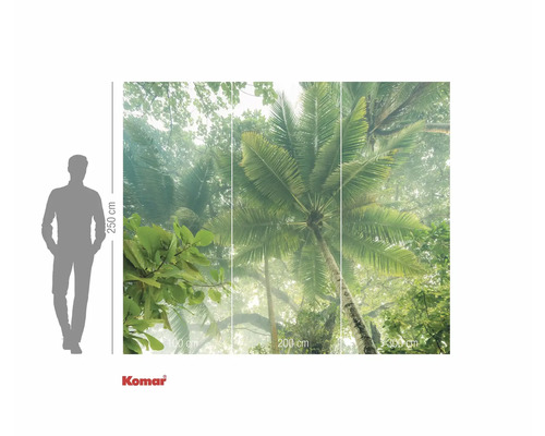 Komar fototapet med palmmotiv och storleksinformation