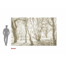 Fototapet med skogsmotiv och storleksangivelser