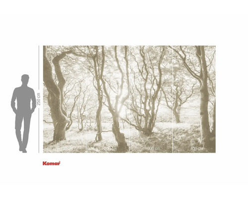 Fototapet med skogsmotiv och storleksangivelser