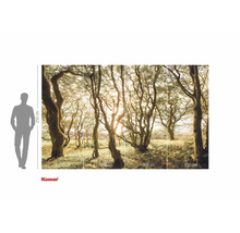 Komar fototapet med skogsmotiv och storleksinformation