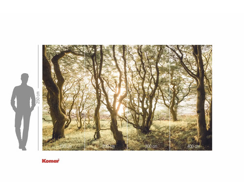 Komar fototapet med skogsmotiv och storleksinformation
