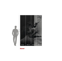 Fototapet med tranmotiv och storleksinformation