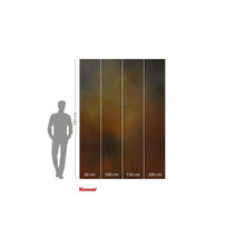 Komar fototapet med exempeldimensioner och figur