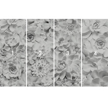 Fototapet med suckulentmotiv, bestående av fyra delar