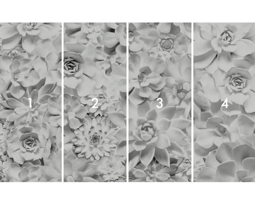 Fototapet med suckulentmotiv, bestående av fyra delar