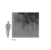 Komar fototapet med abstrakt mönster i grått och guld, storleksinformation.