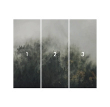 Tredelad skogstapetmotiv med dimma