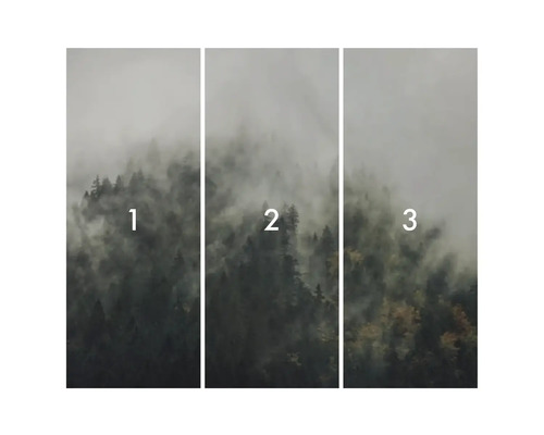 Tredelad skogstapetmotiv med dimma