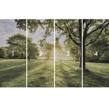 Fyrdelad fototapet med trädlandskap i parken