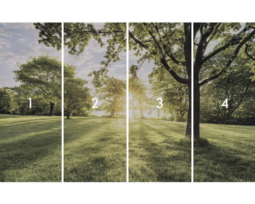 Fyrdelad fototapet med trädlandskap i parken