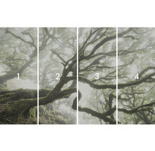 Fyrdelad fototryck av en dimskog