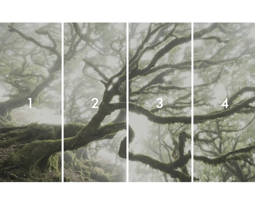 Fyrdelad fototryck av en dimskog