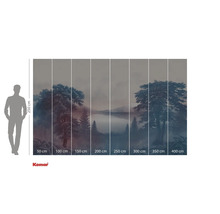 Fototapet med skogslandskap och sjö för väggdekoration