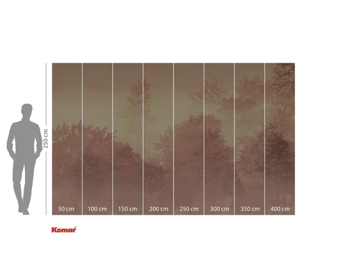 Fototapet med skogsmotiv och storleksinformation