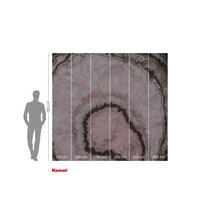 Fototapet med ett tvärsnitt av en agatsten med storleksangivelser