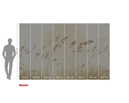 Komar fototapet med vassmotiv och storleksangivelser