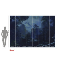 Komar fototapet med skogslandskap och måttangivelser.