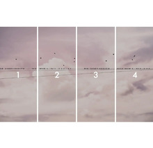 Illustration med fyra bilder med fåglar på en elledning framför en molnig himmel