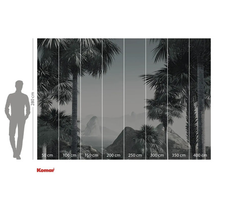 Fototapet med palmer och storleksangivelser