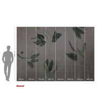 Komar fototapet med växtmotiv och storleksangivelser