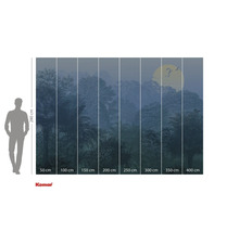 Komar fototapet med djungelmotiv och storleksangivelser