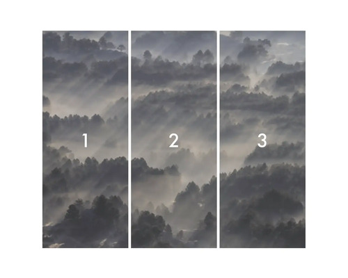 Fototapet bestående av tre delar med skogsmotiv i dimma