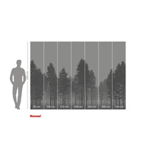 Fototapet med skogsmotiv och storleksangivelser.