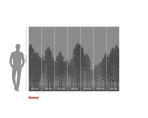 Fototapet med skogsmotiv och storleksangivelser.