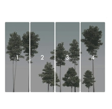 Fyrdelad tapet med skogsmotiv och träd