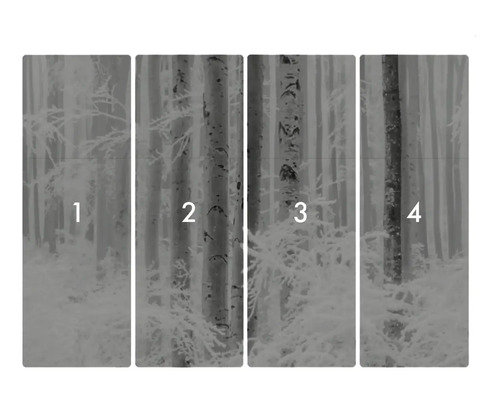 Fyrdelad tapet med skogsmotiv och träd