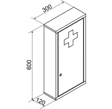 Bild på ett första hjälpen-skåp som mäter 600 x 300 x 120 mm