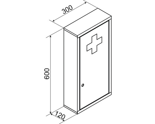 Bild på ett första hjälpen-skåp som mäter 600 x 300 x 120 mm