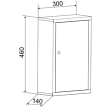 Teknisk ritning av ett väggskåp med måtten 460 x 300 x 140 mm