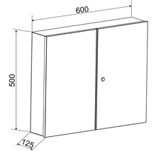 Teknisk ritning av ett spegelskåp med måtten 600 x 500 x 125 mm