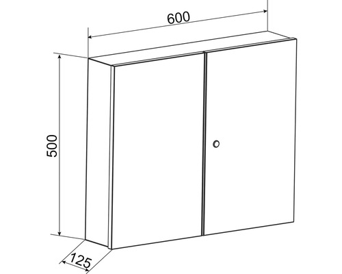 Teknisk ritning av ett spegelskåp med måtten 600 x 500 x 125 mm