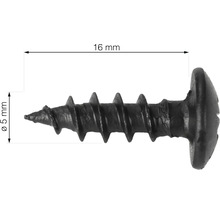 En gipsskruv som är 16 millimeter lång och 5 millimeter tjock.