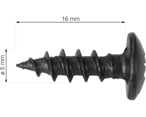 En gipsskruv som är 16 millimeter lång och 5 millimeter tjock.