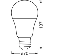 Illustration av en glödlampa med måtten 137 mm hög och 70 mm i diameter