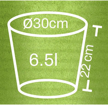 Skiss av en blomkruka med måtten diameter 30 centimeter, höjd 22 centimeter och volym 6,5 liter