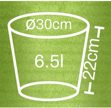 Skiss av en blomkruka med måtten 30 centimeter i diameter, 22 centimeter i höjd och 6,5 liter volym