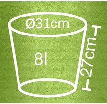Bild med måttangivelser: diameter 31 centimeter, höjd 27 centimeter, volym 8 liter