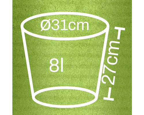 Illustration av en blomkruka med måtten 31 centimeter i diameter, 27 centimeter i höjd och 8 liter i volym.