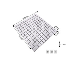 Mosaiknät, 300 gånger 326 millimeter, bitstorlek 25 gånger 25 millimeter, tjocklek 5,2 millimeter, frostbeständig, gångbar, för våtutrymmen.
