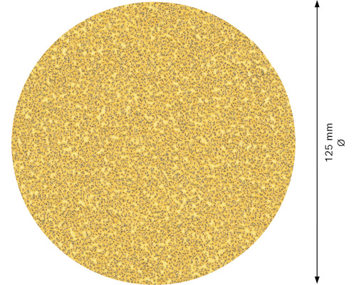 Slipskiva, diameter 125 millimeter