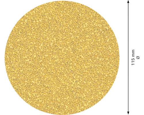 Slipskiva med en diameter på 115 mm