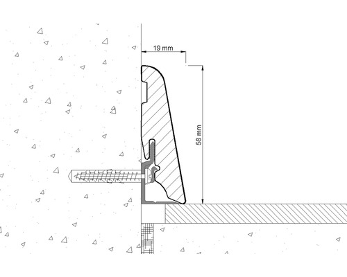 Tvärsnitt av en golvsockel med måtten 19 mm och 58 mm