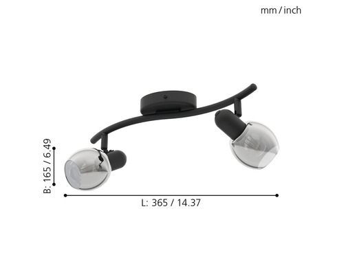 Svart taklampa med två rökfärgade glasskärmar