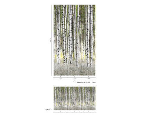 Fototapet med björkskogsmotiv och måttangivelser